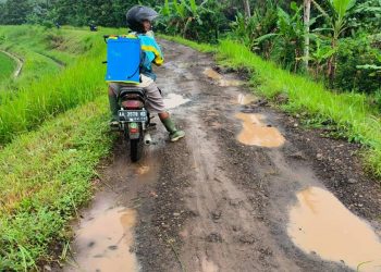 Akibat Tidak Diperhatikan Pemerintah Warga Protes Keras Terkait Jalan Blok Kedung Lemah Desa Bangunsari – Pamarican – Ciamis, Rawan Kecelakaan