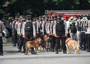 Sebelas Anjing Ras K9 Ikut Terlibat Dalam Pengamanan Tasyakuran Kaesang dan Erina