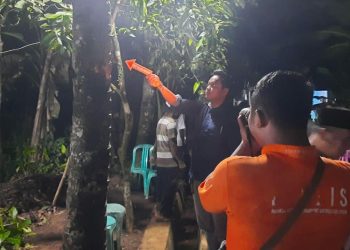 Penderes Nira di Kemangkon Purbalingga Tewas Jatuh dari Pohon Kelapa