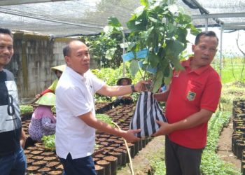Wabup Banyumas Berharap Sentra Pembibitan Tanaman Dawuhankulon Jadi Agrowisata