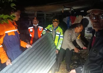 Hujan Angin di Mrebet, Sejumlah Pohon Tumbang dan Rumah Rusak