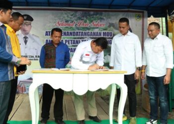 Wakil Gubernur Sumatera Utara Saksikan Penandatanganan Kerja Sama Petani Talas Beneng Dengan Buyer