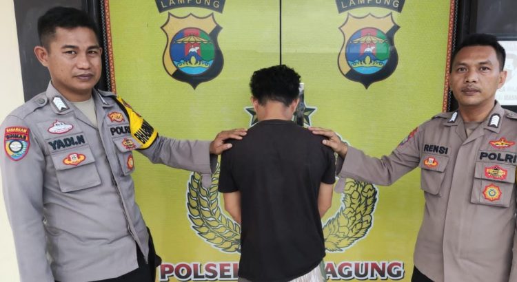 Polsek Kota Agung Tangkap Oknum PNS Bandar Negeri Semuong Resedivis, Kasus Pencurian Burung Merpati