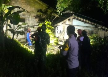 Hujan Deras Disertai Angin, Tiga Pohon Tumbang Timpa Rumah di Mrebet
