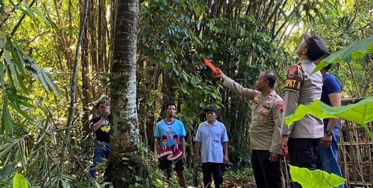 Penderes Nira di Kutasari PurbaIingga Tewas Jatuh dari Pohon Kelapa