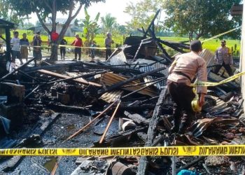 Polsek Wonosobo Identifikasi Kebakaran Kebakaran Rumah di Pekon Srimelati