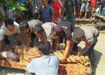 Penderes Nira Meninggal Jatuh dari Pohon Kelapa di Bukateja