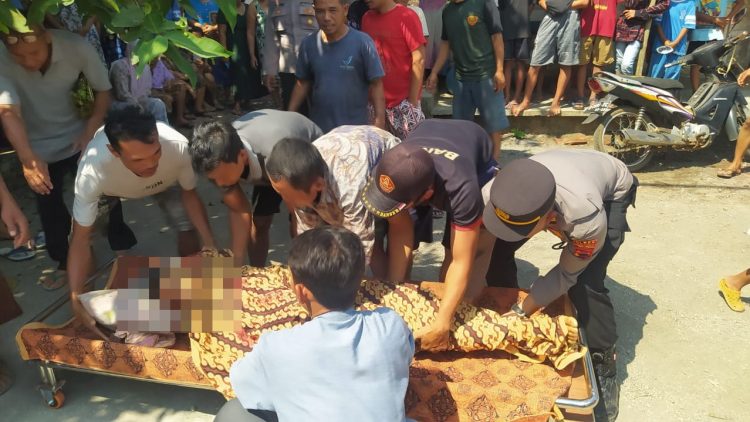 Penderes Nira Meninggal Jatuh dari Pohon Kelapa di Bukateja