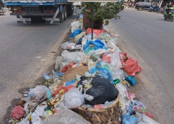 Kadis Lingkungan Hidup, Jangan Hanya Membuat Plang Larangan Sampah Di Bagan Sinembah, Fakta Sampah Masih Numpuk