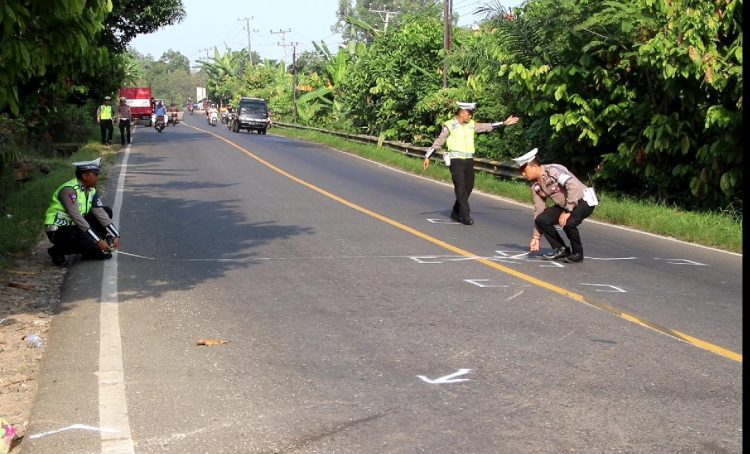 Tabrakan Maut di Pringsewu, Dua Meninggal Dunia, Tujuh Luka Luka