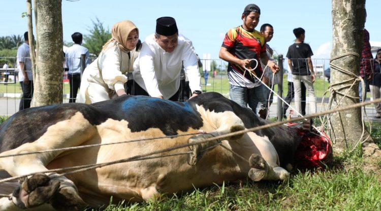 Kades Tumpatan Nibung Sarianto Aceng dan Kristina Melati RGG  Qurbankan 3 Ekor Sapi, Pada Idul Adha 1444 H