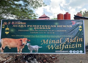 Idul Adha 1444 H 2023, Polres Rohil Sembelih 29 Hewan Qurban