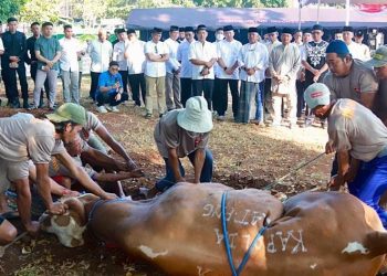 Qurban Presisi Polda Jateng, Bagikan Paket Daging Kurban Pada Masyarakat Kurang Mampu