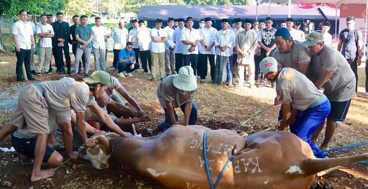 Qurban Presisi Polda Jateng, Bagikan Paket Daging Kurban Pada Masyarakat Kurang Mampu