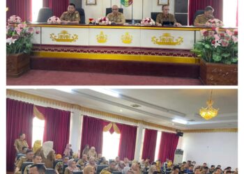 Kabupaten Tanggamus Ikuti Sosialisasi Penerapan Sistem Pemerintah Berbasis Elektronik (SPBE)