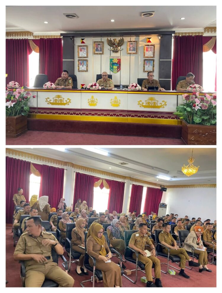 Kabupaten Tanggamus Ikuti Sosialisasi Penerapan Sistem Pemerintah Berbasis Elektronik (SPBE)