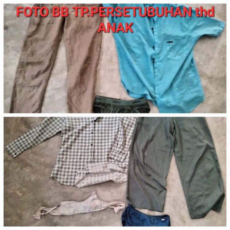 Ayah Setubuhi Anak Kandung Dibawah Umur Hingga Hamil Dilaporkan ke Polsek Pujud