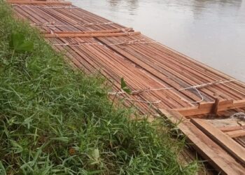 Ilegal Logging Marak Di Rokan Hulu, Bukit Barisan Berubah Menjadi Kebun Sawit