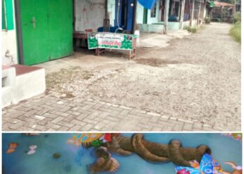 Ngeri Marak Nya Judi Tembak Ikan Di Belawan! APH  Dinilai Tutup Mata, Masyarakat Resah Akan Laporkan Ke Anggota Dewan Provinsi