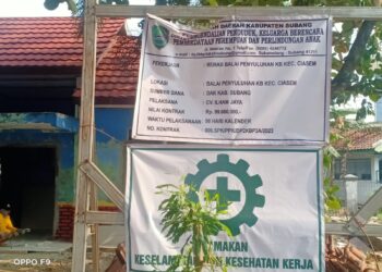 Sambut HUT RI Yang Ke-78, PPKB Kecamatan Ciasem Bekerja Sama Dengan UPTD Pukesmas Ciasem Mengadakan Pelayanan KB Gratis