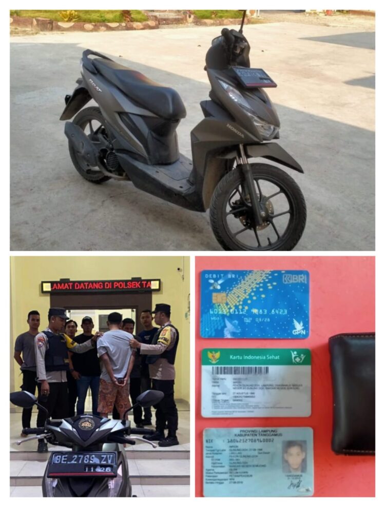 300 Mahasiswa Negeri Berprestasi Terima Beasiswa Dari TPL