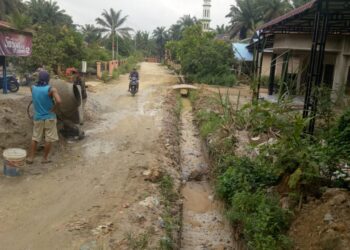 300 Mahasiswa Negeri Berprestasi Terima Beasiswa Dari TPL