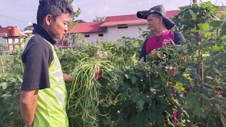 Lapas Solok Berikan Program Pembinaan Pada Wargabinaan Dan Berikan Masukan Pada Negara