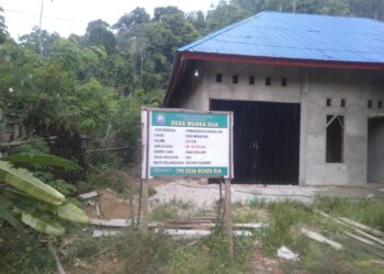 Bangunan GSG Desa Muara Dua Nasal Telan Dana Rp. 455 Juta Lebih, Diduga Gunakan Material Ilegal