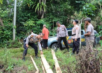 Polres Tanggamus Tinjau Area Masuknya Kawanan Gajah Liar di Perkebunan Warga Semaka