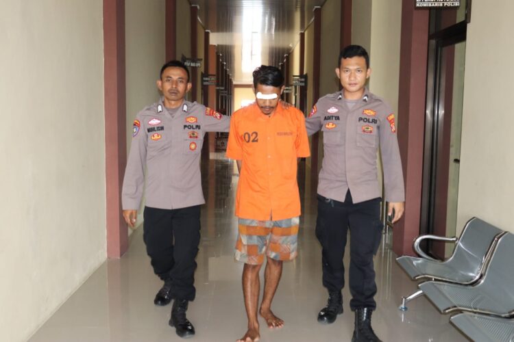 Polres Tanggamus Tinjau Area Masuknya Kawanan Gajah Liar di Perkebunan Warga Semaka