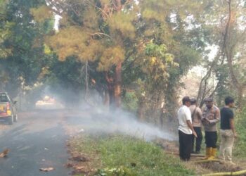 Polsek Pulau Panggung Bersama Tim Berjibaku Padamkan Kebakaran Lahan Area Batu Tegi