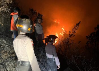Kebakaran di Lereng Gunung Sumbing Sudah Padam, Petugas Gabungan Lakukan Patroli Antisipasi Munculnya Titik Api