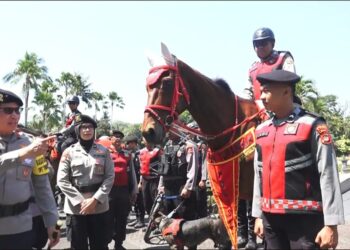 Pemilik Tanah 1,2 Ha Heran Pengadilan Tangerang Tak Gubris Eksekusi Ulang