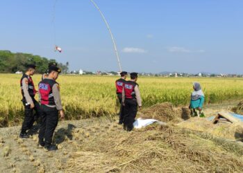 Lalai Matikan Kayu Sisa Masak, Dapur Rumah Warga Semaka Tanggamus Terbakar