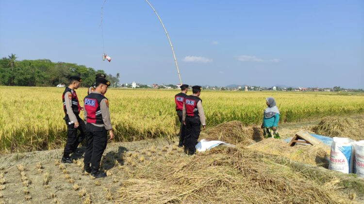 Lalai Matikan Kayu Sisa Masak, Dapur Rumah Warga Semaka Tanggamus Terbakar