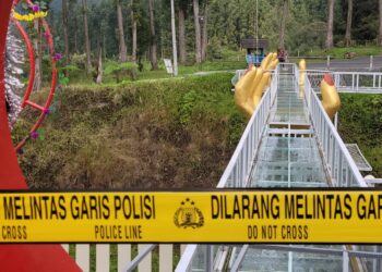 Somagede Juara Turnamen Sepak Bola Tingkat SD Kadindik Cup Banyumas