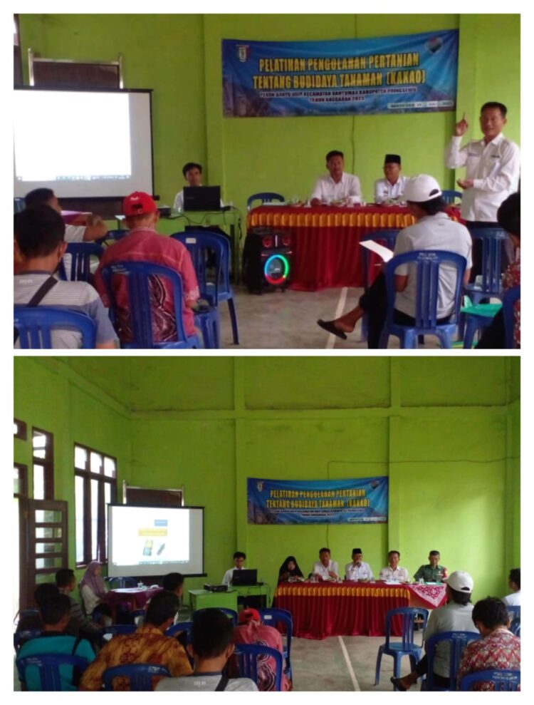 Kelompok Tani Di Pekon Banyu Urip, Mengikuti Pelatihan Budidaya Tanaman Kakao