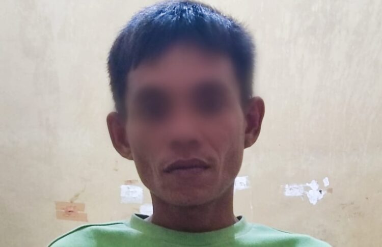 Bupati Samosir Pimpin Upacara Peringatan Hari Guru Nasional yang dirangkai dengan HUT PGRI ke-78