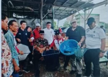 Bupati Kaur Panen Perdana Budidaya Lele Kolam Terpal Pokdakan UPR Kaur Fish Farm
