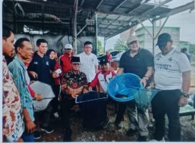 Bupati Kaur Panen Perdana Budidaya Lele Kolam Terpal Pokdakan UPR Kaur Fish Farm