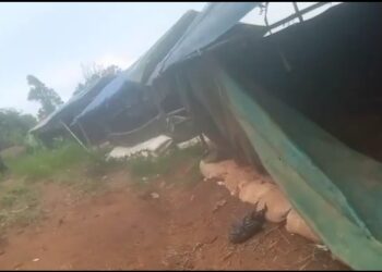 Masyarakat Pangradin Bersatu Melawan PETI: Dampak Buruk pada Sumber Air Bersih