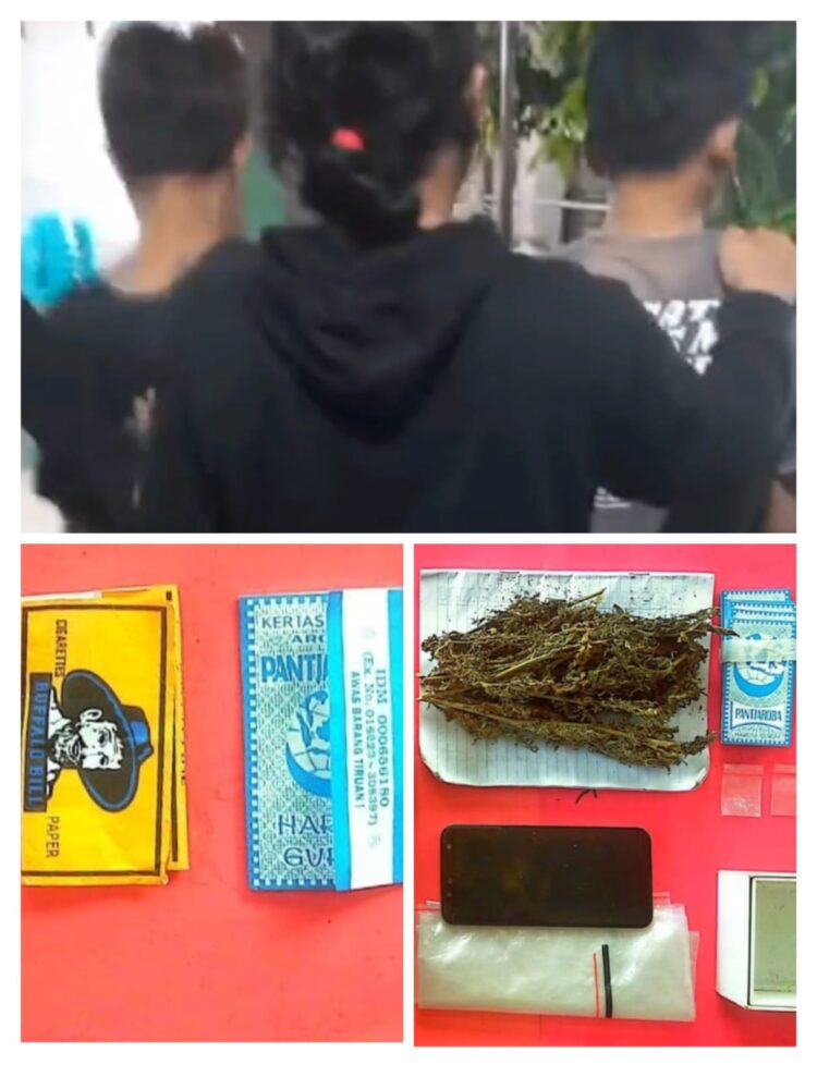 Dua Terduga Pengedar Ganja Ditangkap Satresnarkoba Polres Tanggamus