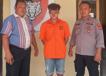Nasib Apes Pencuri Unggas, Jatuh Ke Sawah dan Ditangkap Polisi