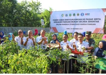 Kendalikan Inflasi, Pemprov DKI Jakarta Gagas Panen Cabai Serentak