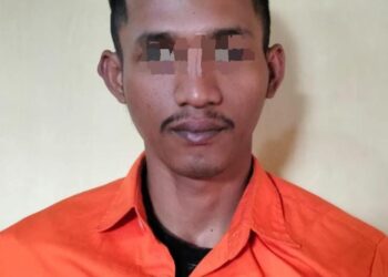 Menipu Untuk Berjudi dan Open BO, Warga Pringsewu Ditangkap Polisi