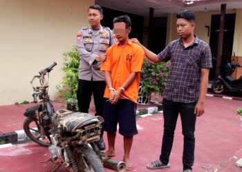 PMII Cabang Tanggamus Mengkritik Pemkab Tanggamus