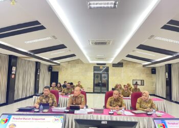 Calon Pengurus Komite Ekonomi Kreatif Kabupaten Banyumas Audiensi Dengan Pj Bupati