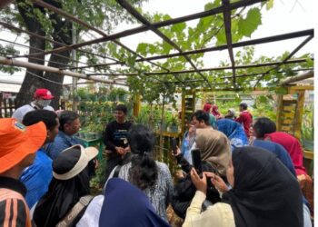 Optimalkan Urban Farming, 35 Warga Tanjung Priok Jakut Ikut Pelatihan Budidaya Tanaman Anggur