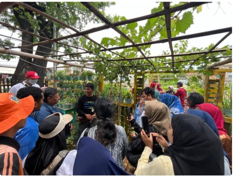 Optimalkan Urban Farming, 35 Warga Tanjung Priok Jakut Ikut Pelatihan Budidaya Tanaman Anggur