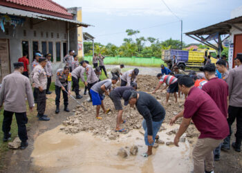 Hari Terakhir Pelaksanaan Musrenbang RKPD 2025, Digelar di Kecamatan Simanindo, Harian, Nainggolan dan Sianjur Mulamula